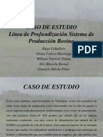 CASO DE ESTUDIO - Presentación