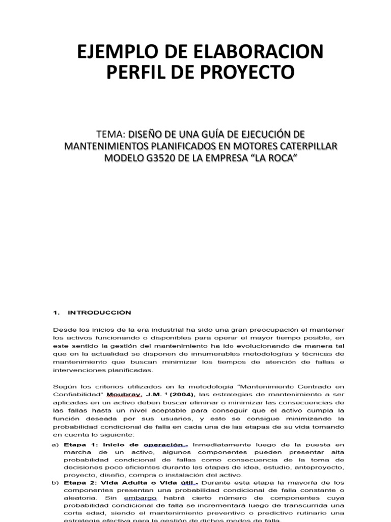 Ejemplo 2 Perfil de Proyecto PDF | PDF