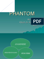 Phantoom 2-1