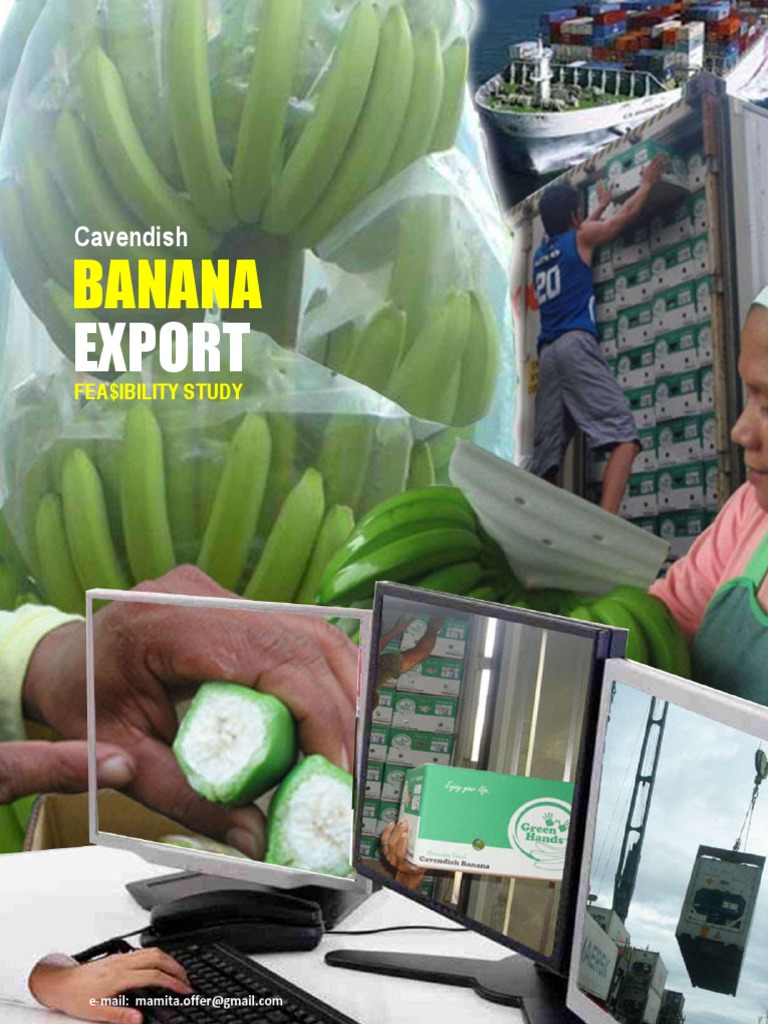 Cavendish Banana Export Business Feasibility Study (Proposal) PDF