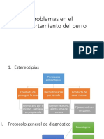 Problemas en El Comportamiento Del Perro