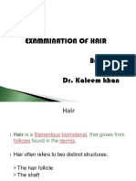 Hair and Fiber Analysis