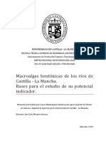 TESIS Monteagudo Canales.pdf