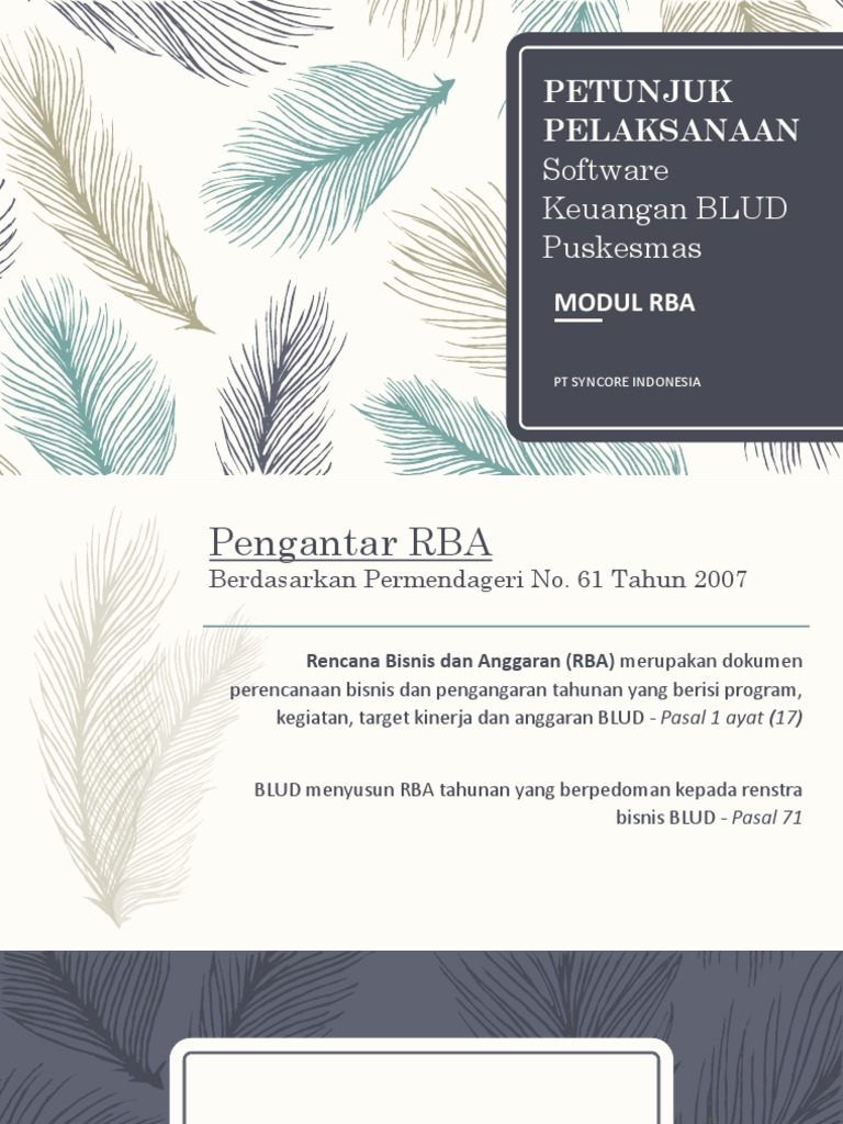 Panduan RBA Software Keuangan BLUD | PDF | Bisnis