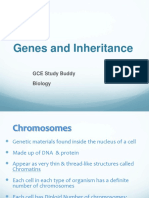 Genes and Inheritance: GCE Study Buddy Biology