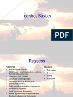 Petrofisica Basica PDF