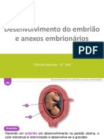 Desenvolvimento Do Embrião e Anexos Embrion 7