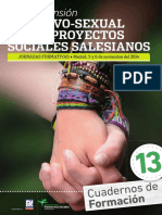 13 La Dimension Afectivo Sexual en Los Proyectos Sociales Salesianos
