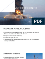 Deepwater Horizon Oil Spill