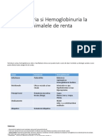 Hematuria Si Hemoglobinuria La Animalele de Renta (Autosaved)