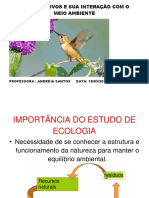 AULA RECUPERAÇÃO.DOCX