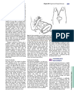 Remove Them Within A Week. Mainz Neobladder: Chapter 189: Supravesical Urinary Diversion