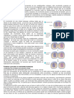 Desarrollo y Crecimiento Bacteriano.