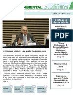 Informe Ambiental- Janeiro