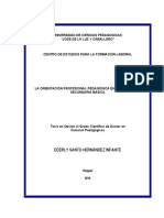 La Orientacion Profesional Peda - Hernandez Infante, Ederly Santo PDF