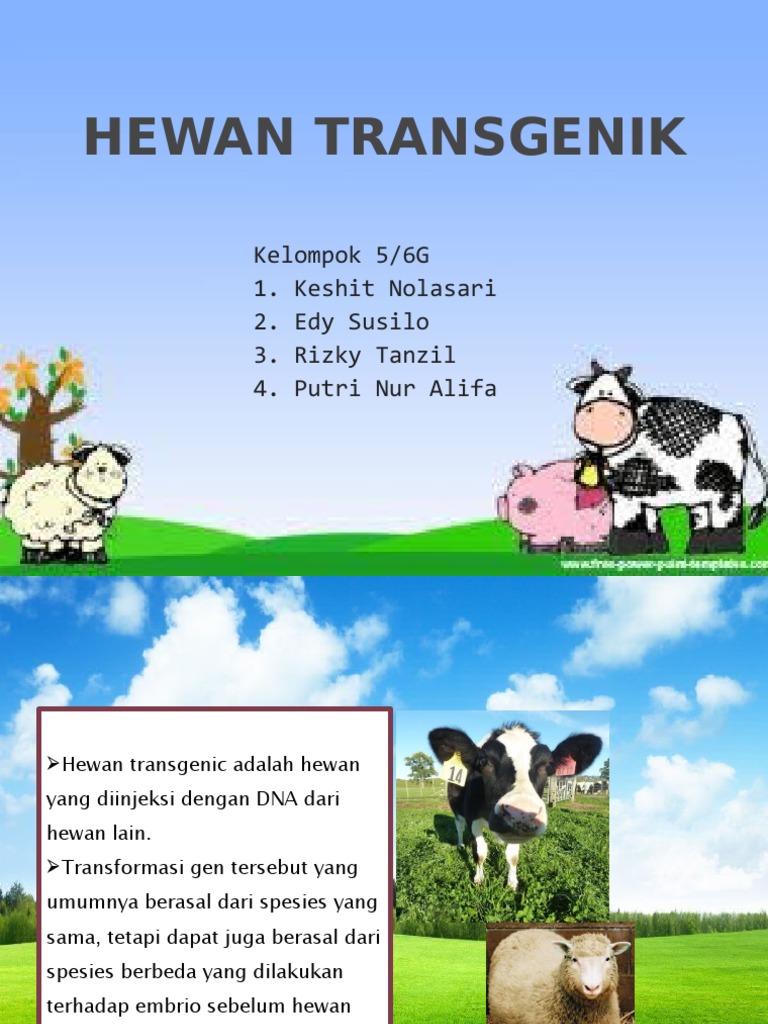 Hewan Transgenik Kelompok 5 6g 1 Keshit Nolasari 2 Edy Susilo 3