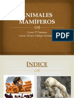 ANIMALES MAMÍFEROS (1).pptx