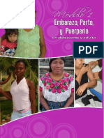 2010 NORMAS DEL EMBARAZO PARTO Y PUERPERIO MSPAS.pdf