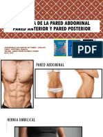 Anatomia de La Pared Abdominal