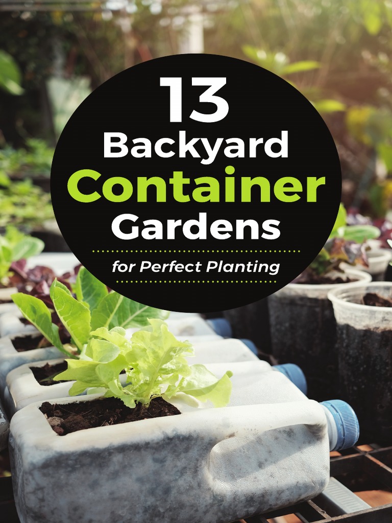 13BackyardContainerGardens 1806A Ebook PDF | PDF | Drainage | Soil