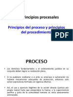 Los Principios Procesales I