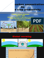 Impact of Carbon Sequestration On Soil and Crop Productivity