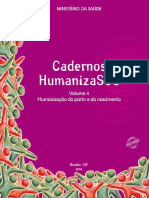 humanização do parto e do nascimento.pdf