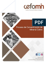 Manual Concentración de Minerales PDF