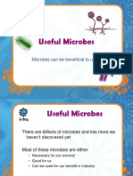 Useful Microbes: Microbes Can Be Beneficial To Us?!?