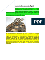 Desenvolvimento Embrionário de Répteis PDF