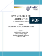 Zimografía de proteínas en geles: Detección de la actividad enzimática de la Bromelina