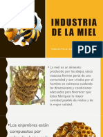 Presentacion de La Produccion de La Miel