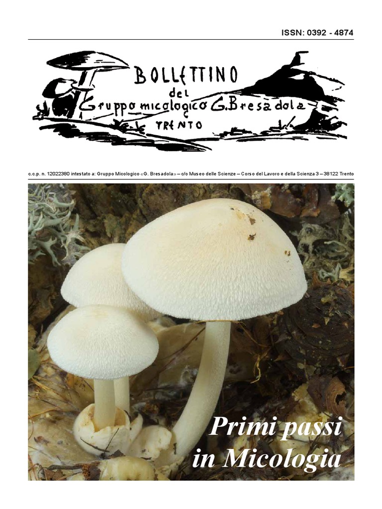 Primi Passi in Micologia PDF | PDF