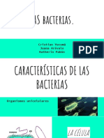 Las Bacterias