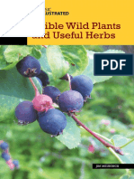 Basic Illustrated Edible Wild Plants and Useful Herbs Basic Illustrated Series 2nd Edition PDF