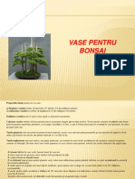 4 vase si substrat pt. bonsai.pdf