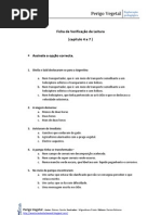 Ficha de verificação de leitura 4-7