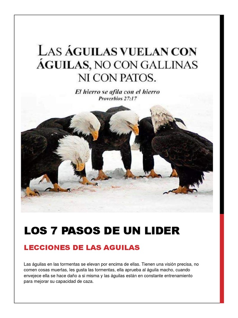 Los 7 Pasos de Un Lider | PDF | Vida | Religión y creencia, image size:768x1024