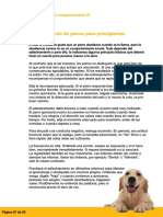 PP-Adiestramiento Perros.pdf