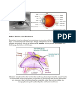 Indra Penglihatan.docx