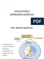 REPLICACIÓN Y EXPRESION GENETICA.pdf