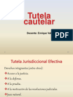 Procedimiento Cautelar. 2015 PDF