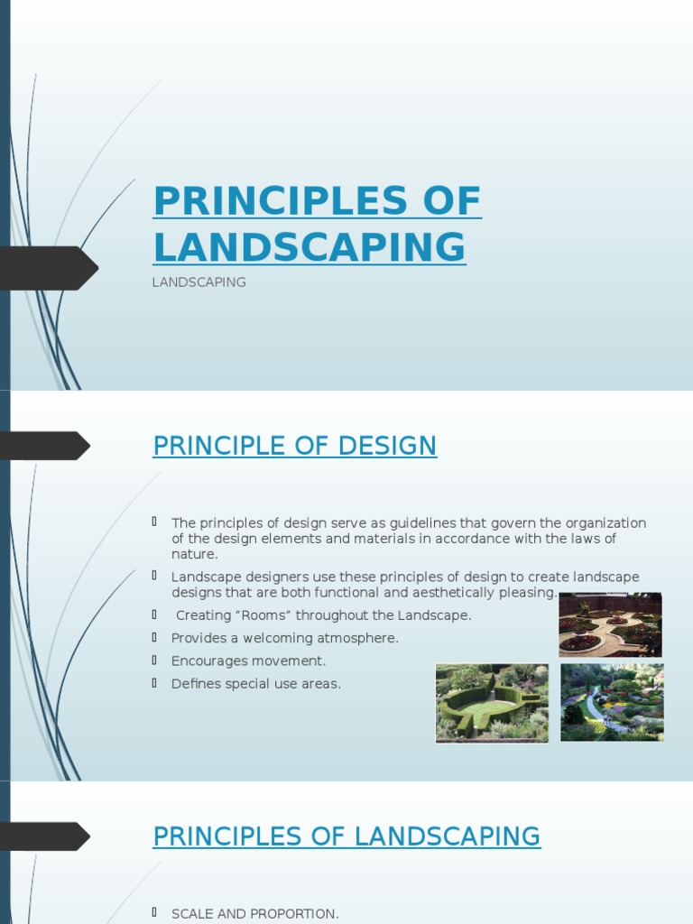 Principles of Landscaping | PDF | Symmetry | Perception