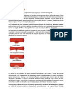 Concepto y Teorías de La Hematopoyesis