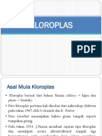 Kloroplas 1