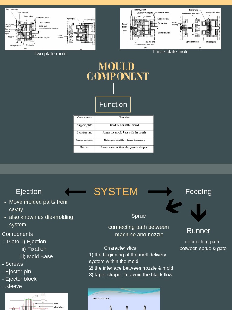Mould Components and Functions Overview | PDF | Science & Mathematics ...