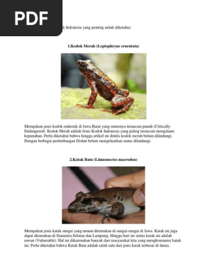 Jenis Jenis Katak Pdf