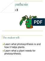 Grade 3: Photosynthesis
