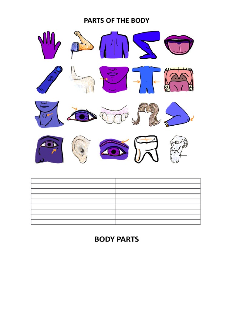 Body Parts and Related Vocabulary | PDF