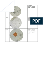 Data Plankton Kelompok Satu